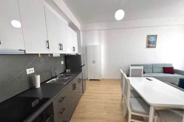 Shtepi ne shitje Apartament ne Tirane, 1+1, Mobilimi E mobiluar, Pagesa 105,000  Euro.