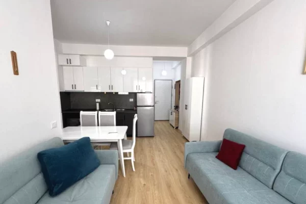 Shtepi ne shitje Apartament ne Tirane, 1+1, Mobilimi E mobiluar, Pagesa 105,000  Euro.