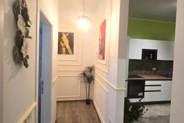 Shtepi me qera Apartament ne Tirane, 1+1, Mobilimi E mobiluar, Pagesa 60,000  Leke.