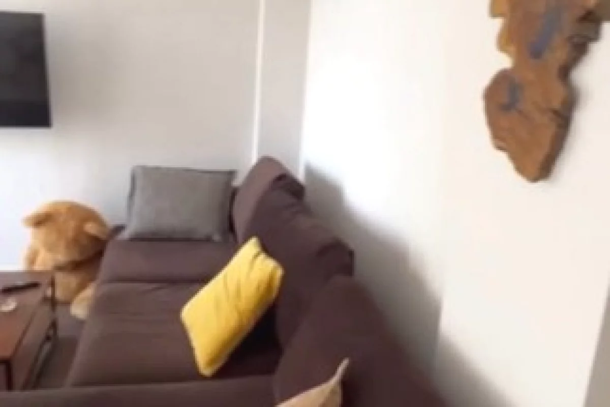 Shtepi me qera Apartament ne Tirane, 2+1, Mobilimi E mobiluar, Pagesa 700  Euro.