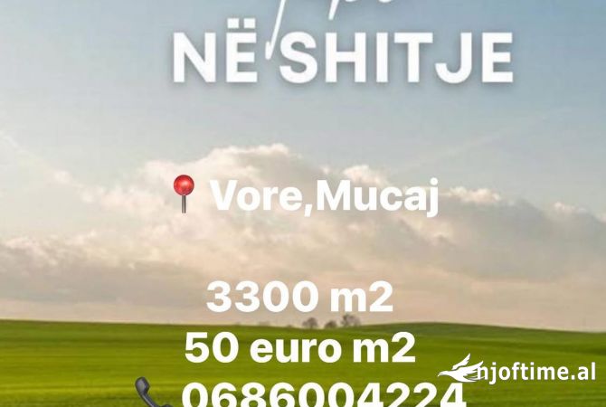 Shitet toke ne Vore Mucaj