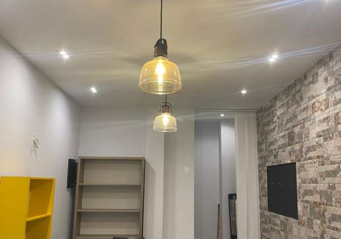 Ambient biznesi me qera 3+1 ne Tirane - 200 Euro