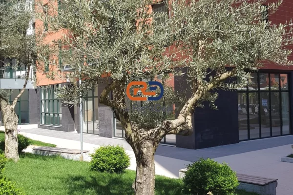 Shtepi ne shitje Apartament ne Tirane, 2+1, Mobilimi E mobiluar, Pagesa 230,000  Euro.