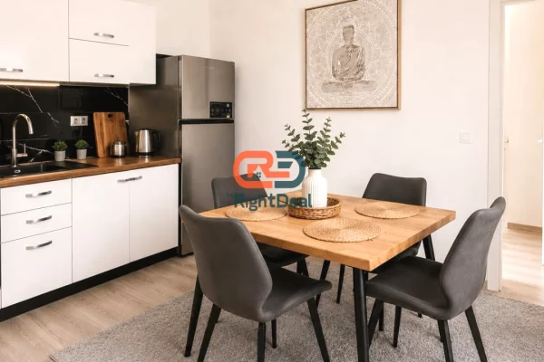 Shtepi me qera Apartament ne Tirane, 1+1, Mobilimi E mobiluar, Pagesa 540  Euro.