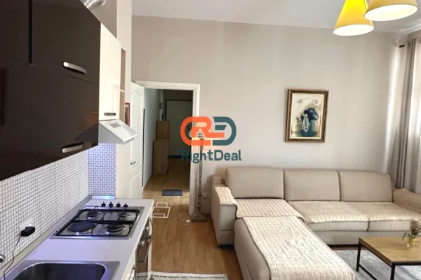 Shtepi ne shitje Apartament ne Tirane, 1+1, Mobilimi E mobiluar, Pagesa 163,000  Euro.