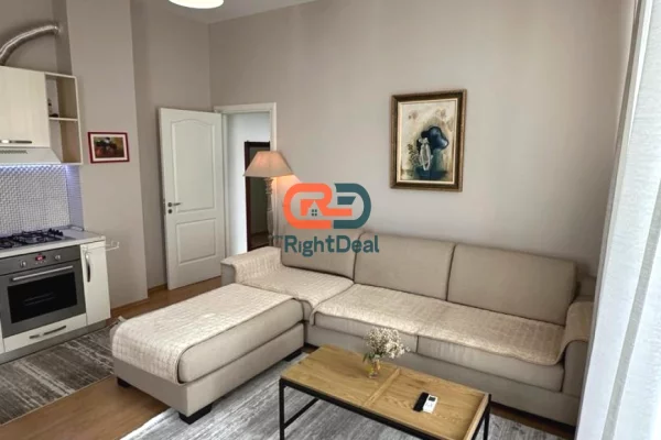 Shtepi ne shitje Apartament ne Tirane, 1+1, Mobilimi E mobiluar, Pagesa 163,000  Euro.