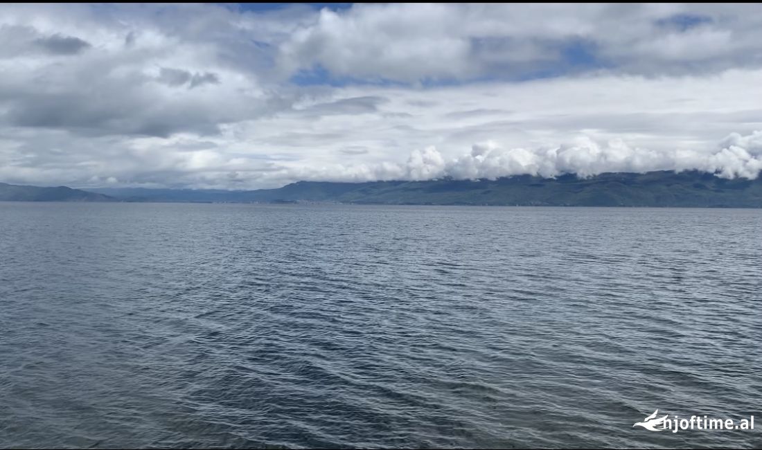 Shtepi ne shitje Apartament ne Pogradec, 2+1, Mobilimi E mobiluar, Pagesa 82,000  Euro.