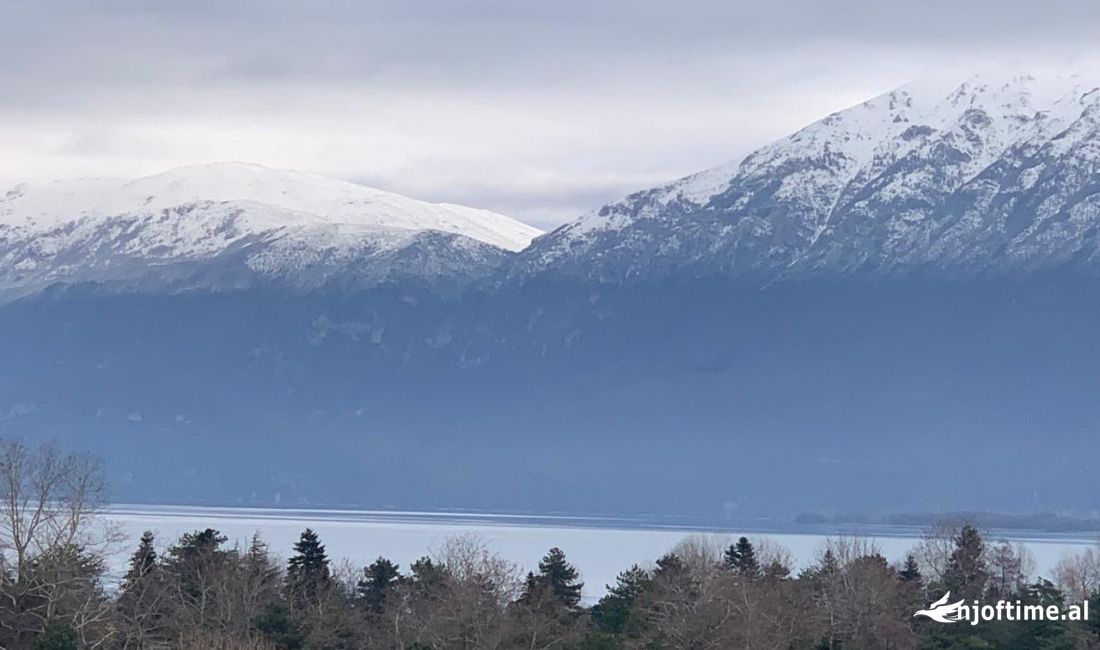 Shtepi ne shitje Apartament ne Pogradec, 2+1, Mobilimi E mobiluar, Pagesa 84,000  Euro.