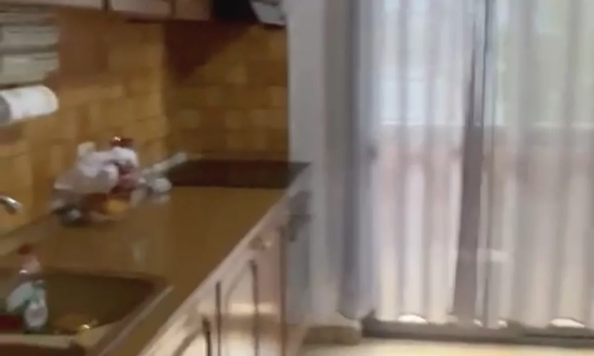 Casa privata/Indipendente in affitto a Tirana 1+1, Arredato