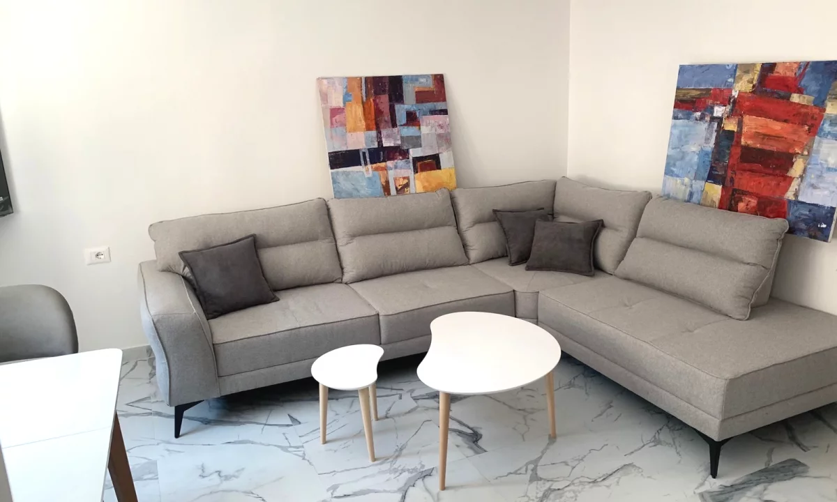 Appartamento in affitto a Tirana 1+1, Arredato