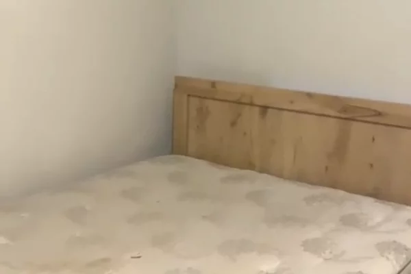 Shtepi me qera 1+1 ne Tirane - 28,001 Leke