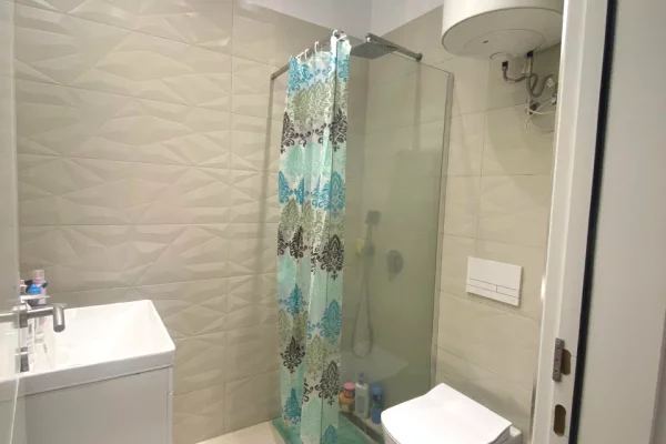 Shtepi me qera Apartament ne Tirane, 1+1, Mobilimi E mobiluar, Pagesa 55,000  Leke.