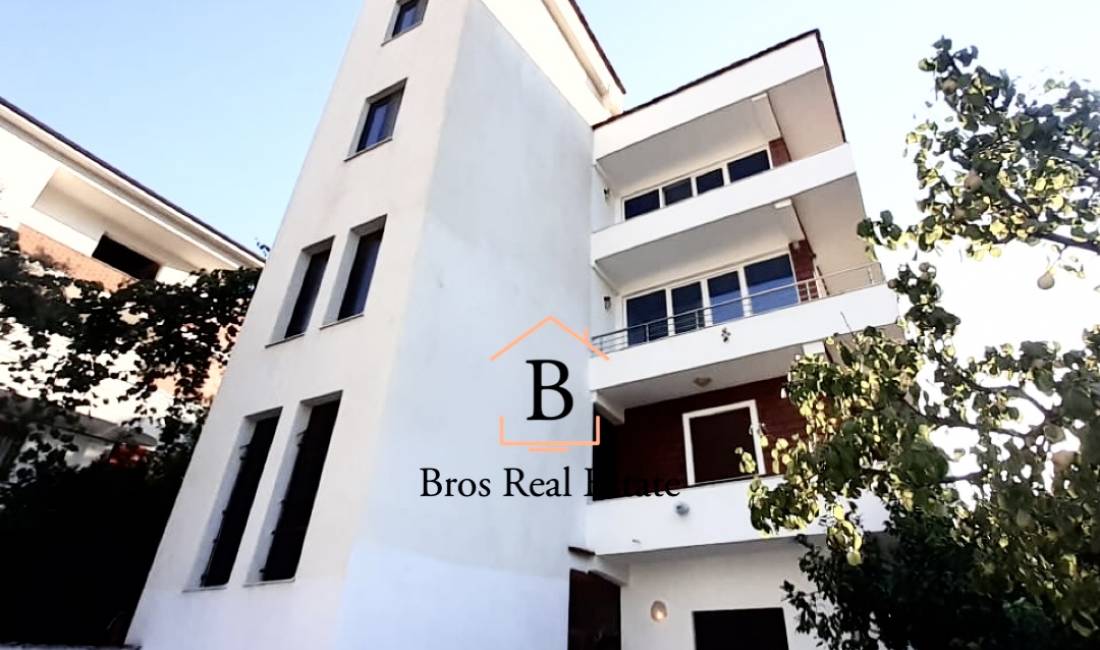 Shitje!! Vile 4 Kateshe