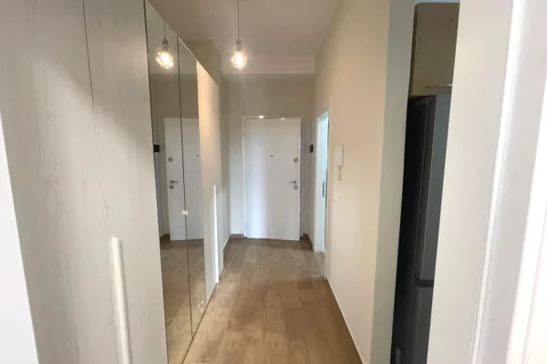Shtepi me qera Apartament ne Tirane, 1+1, Mobilimi E mobiluar, Pagesa 65,000  Leke.