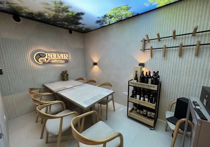 Ambient biznesi me qera 2+1 ne Tirane - 2,500 Euro