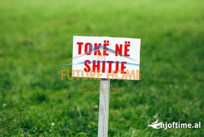 Shitet toke Babrru , Tirane