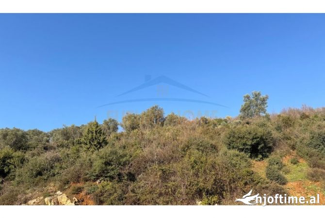 Truall ose Toke ne Tirane - 275,003 Euro