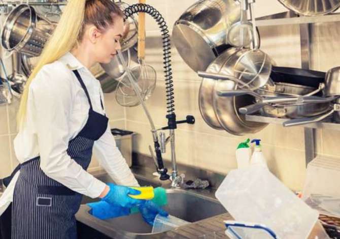 Job Offers for Lavapjatese, Ndihmes Kuzhine in Tirana