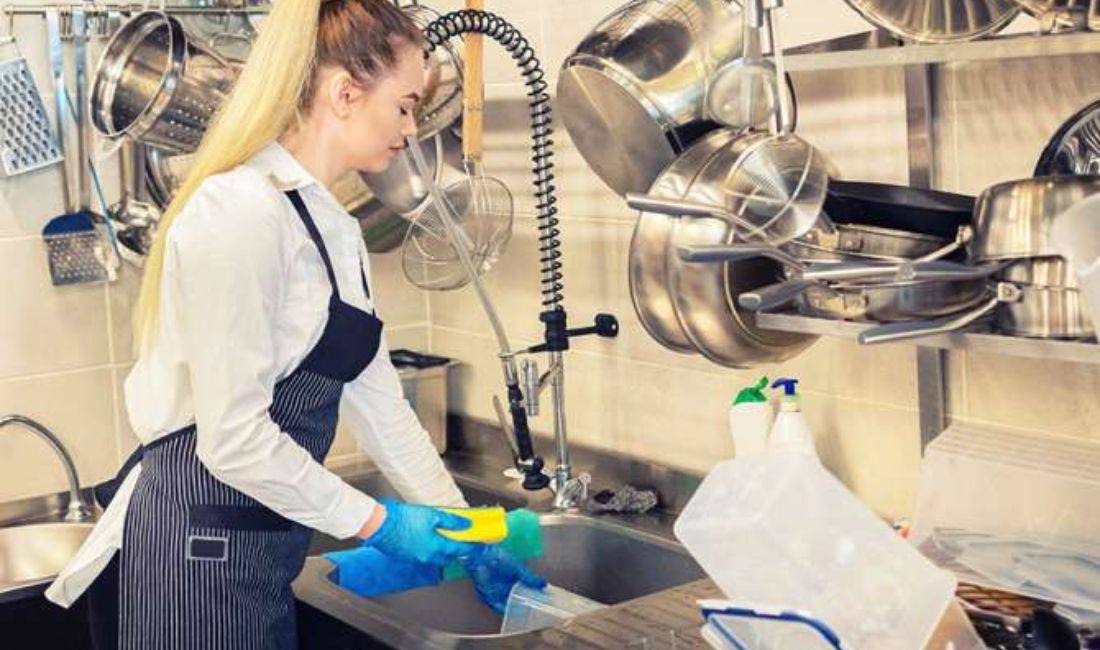 Job Offers in Tirana, Profession Lavapjatese, Ndihmes Kuzhine , With experience, Payment By Agreement.