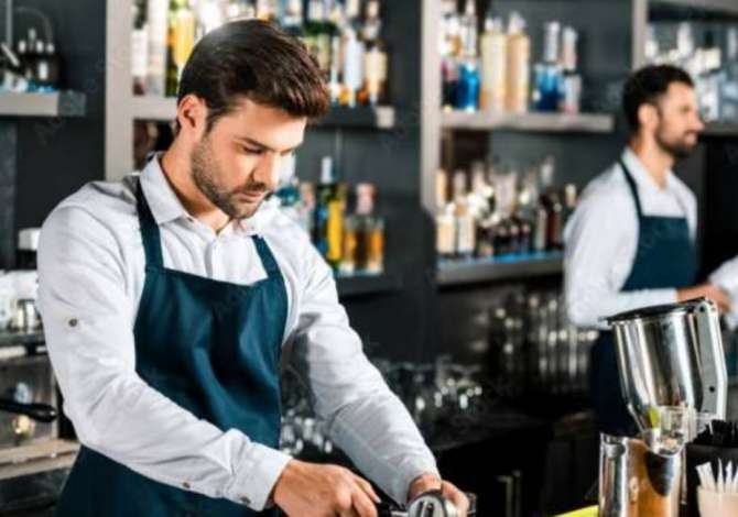 Job Offers for Barkeeper in Tirana