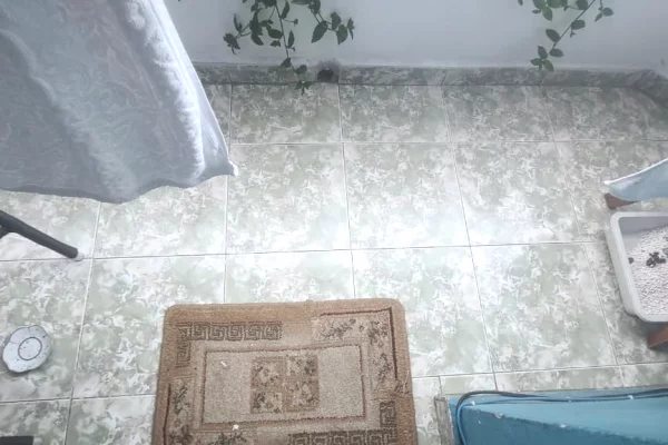 Shtepi ne shitje Apartament ne Tirane, 2+1, Mobilimi E mobiluar, Pagesa 150,000  Euro.