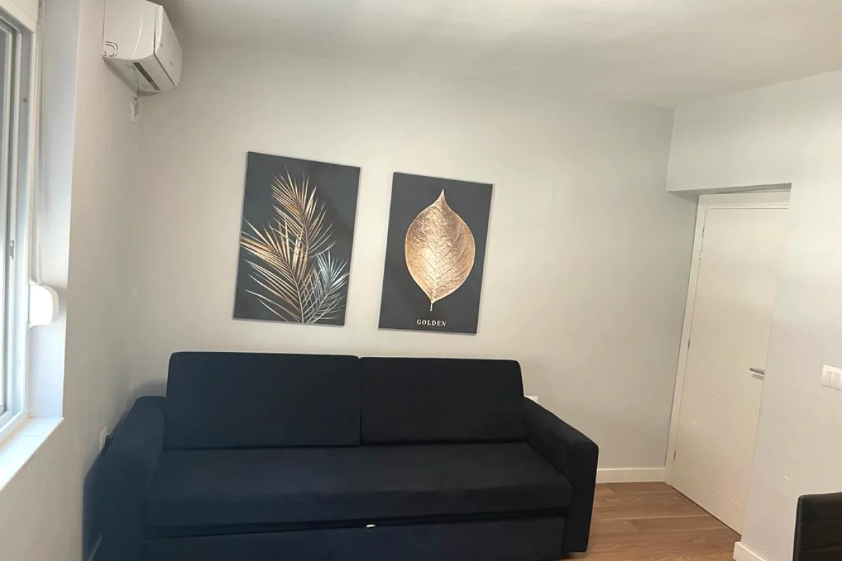 Shtepi me qera Apartament ne Tirane, 1+1, Mobilimi E mobiluar, Pagesa 65,000  Leke.
