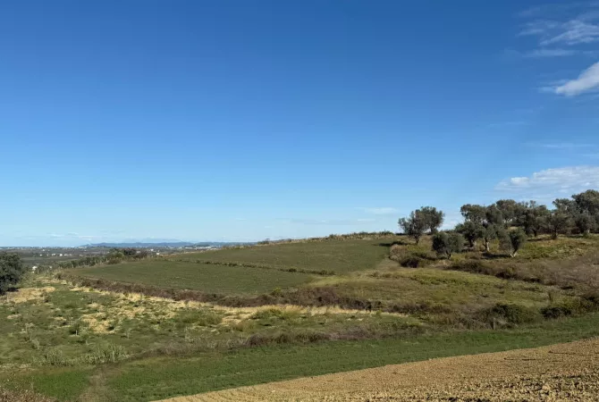 Truall ose Toke ne Durres - 140,000 Euro