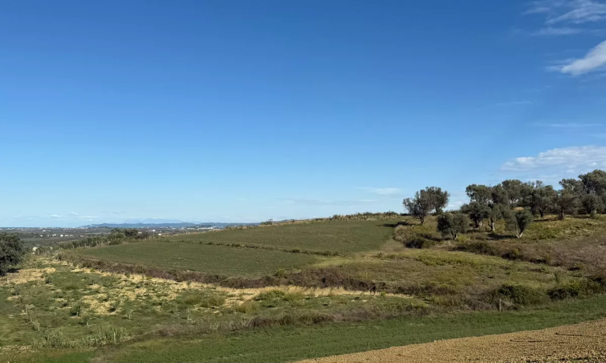 SHITET 5600 m2 toke ne Maminas – Shijak