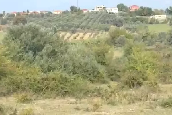 Truall ose Toke ne Durres - 55,000 Euro