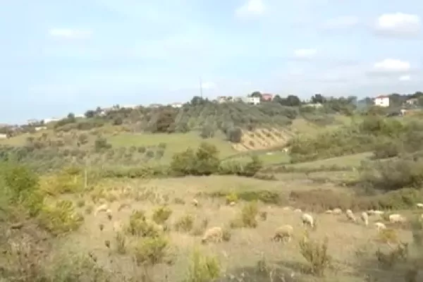 Truall ose Toke ne Durres - 95,000 Euro