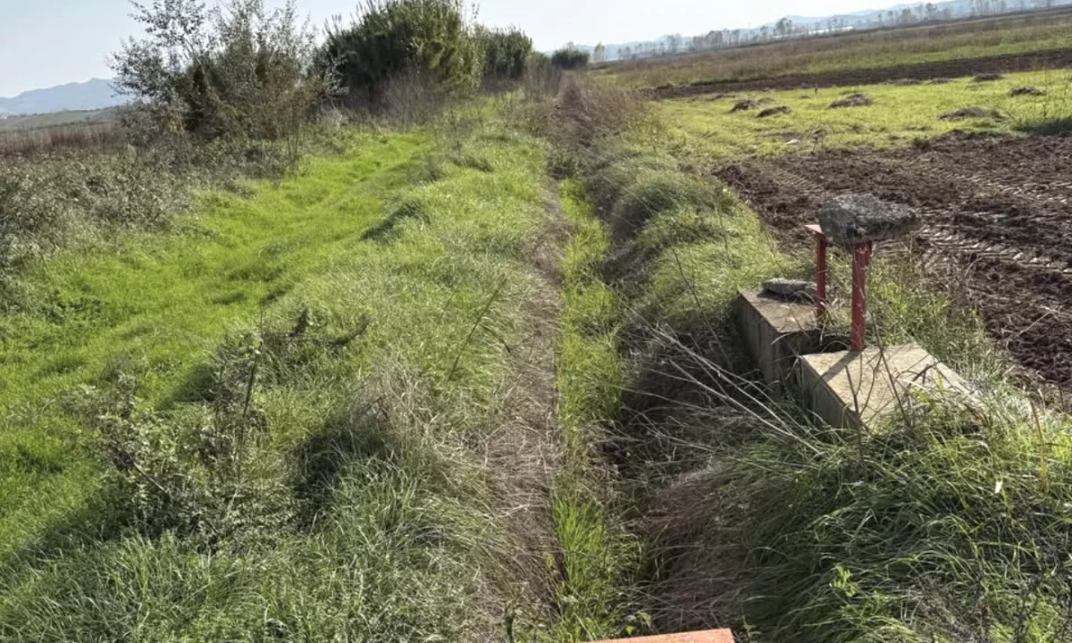 Okazion toke 3400 m2 per vetem 36 milion totali!