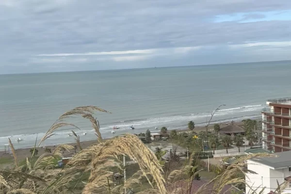 Truall ose Toke ne Kavaje - 120,000 Euro