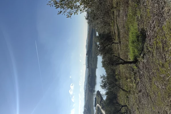 Shitet toke per agroturizem,vila,shtepia druri,ferma