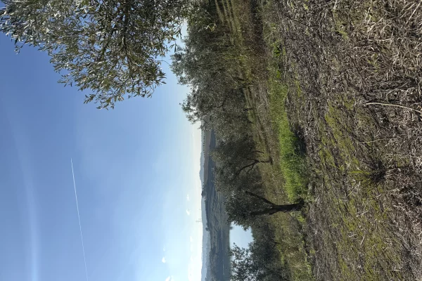 Shitet toke per agroturizem,vila,shtepia druri,ferma