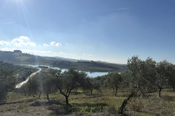 Shitet toke per agroturizem,vila,shtepia druri,ferma