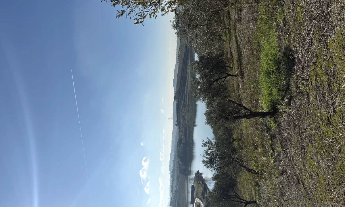 Shitet toke per agroturizem,vila,shtepia druri,ferma