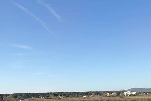 Truall ose Toke ne Durres - 65,000 Leke