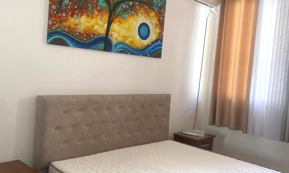 Shtepi me qera Apartament ne Tirane, 1+1, Mobilimi E mobiluar, Pagesa 38,000  Leke.