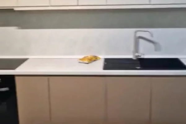 Shtepi me qera Apartament ne Tirane, 2+1, Mobilimi Pjeserisht e mobiluar, Pagesa 55,000  Leke.