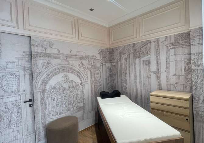 Ambient biznesi me qera 3+1 ne Tirane - 250 Euro