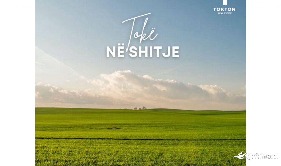 Shitet 15000 m2 toke berzhite