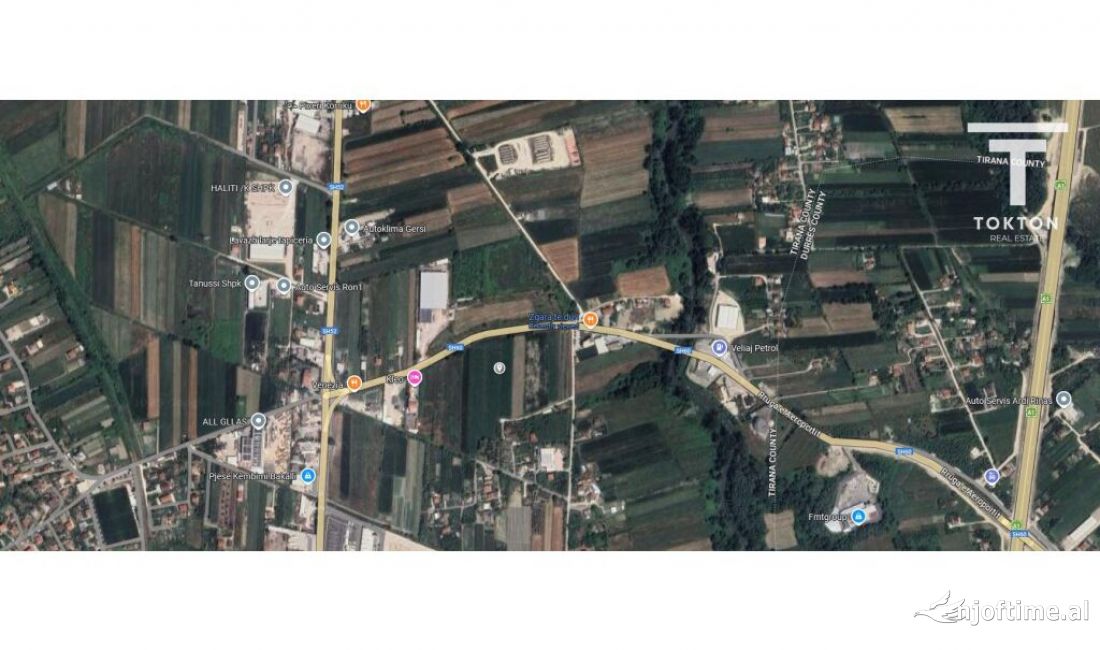 shes toke ,rinas, buze rruge