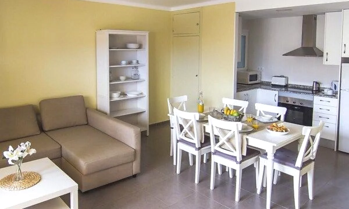 Appartamento in affitto a Tirana 1+1, Arredato