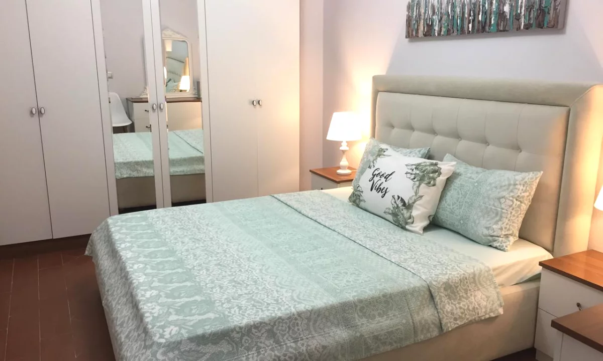 Shtepi me qera Apartament ne Tirane, 1+1, Mobilimi E mobiluar, Pagesa 650  Euro.