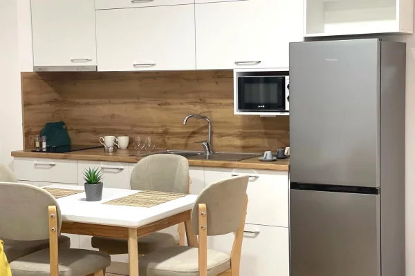 Shtepi me qera 1+1 ne Tirane - 500 Euro