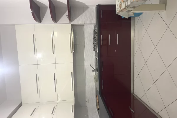 Shtepi me qera Apartament ne Tirane, 1+1, Mobilimi E mobiluar, Pagesa 45,000  Leke.