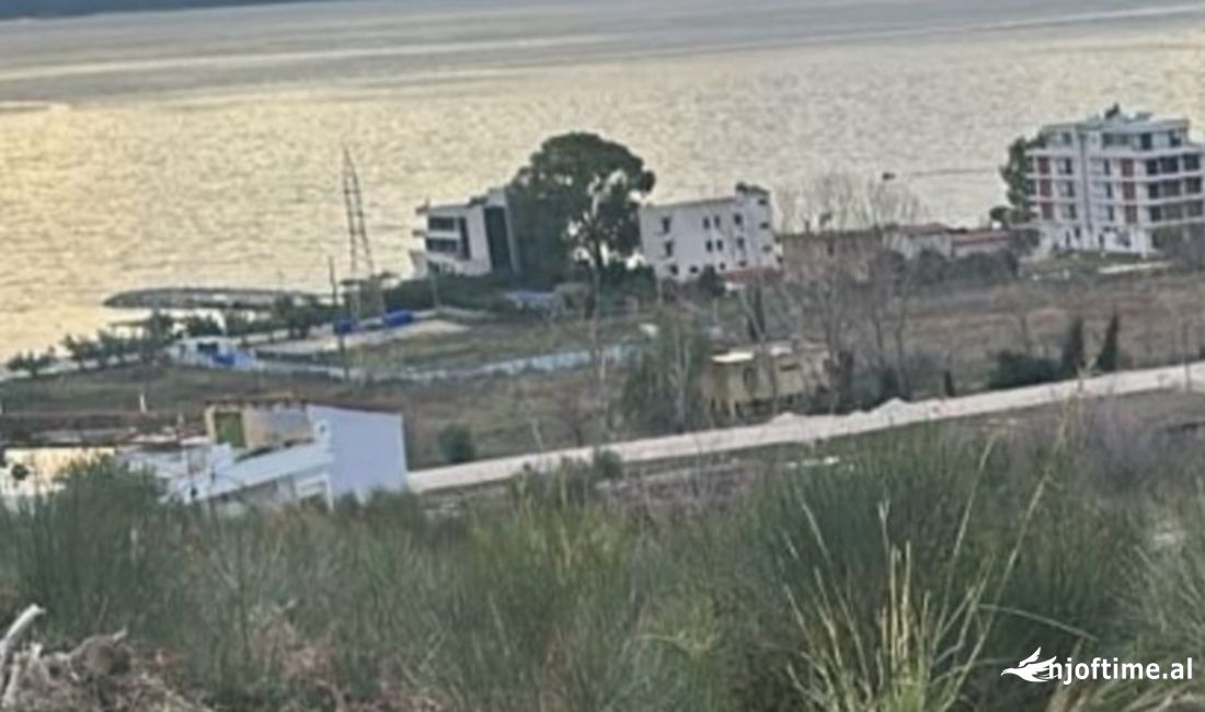 Shitet Toke ne rRadhime