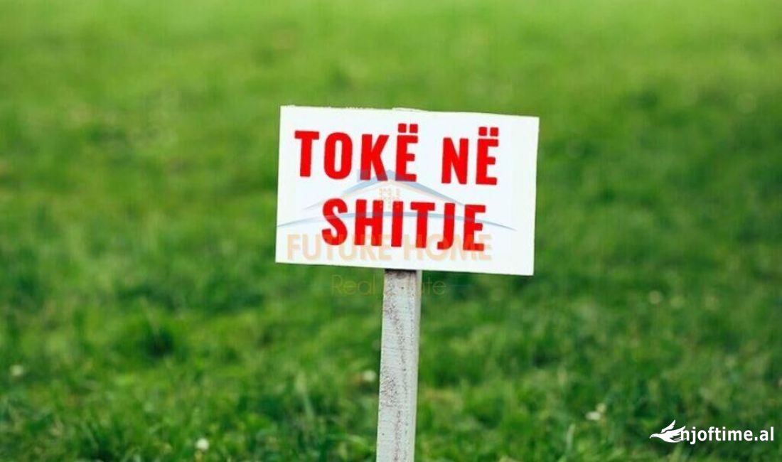 Shitet, Toke, Fshati Borsh.