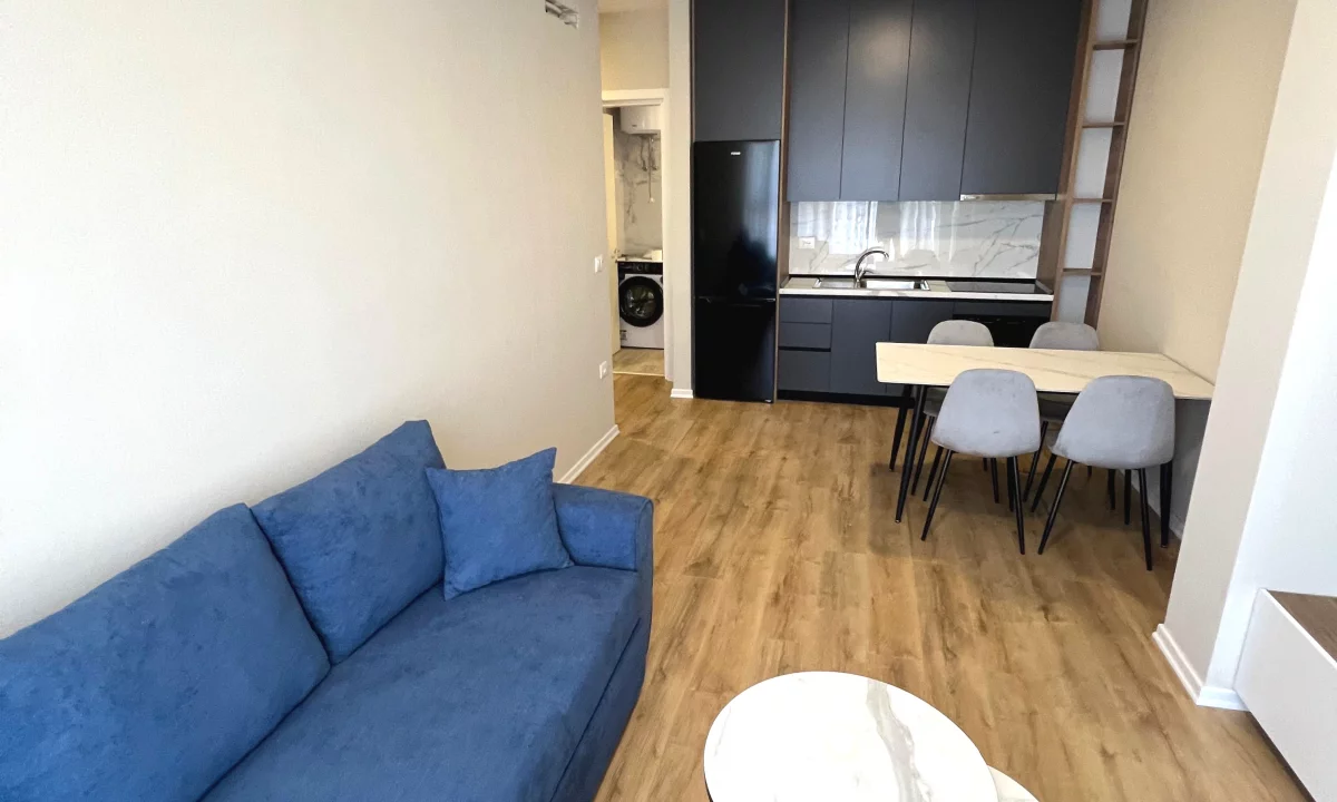 Shtepi me qera Apartament ne Tirane, 1+1, Mobilimi E mobiluar, Pagesa 550  Euro.