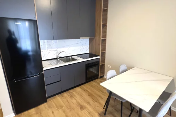 Shtepi me qera Apartament ne Tirane, 1+1, Mobilimi E mobiluar, Pagesa 550  Euro.